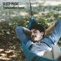 Sleep Music: Transcendent Forest