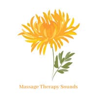 Massage Therapy Sounds – Peaceful New Age Music for Healing and Relaxing Spa Treatments