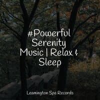 #Powerful Serenity Music | Relax & Sleep