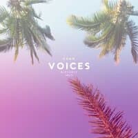 Voices