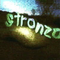 stronzo