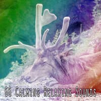 66 Calming Relaxing Sounds