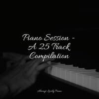 Piano Session - A 25 Track Compilation