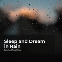 Sleep and Dream in Rain