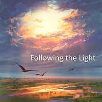 Following the Light