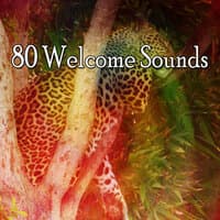 80 Welcome Sounds