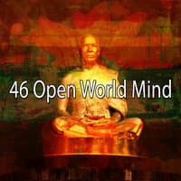 46 Open World Mind