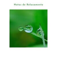 Notas de Relaxamento