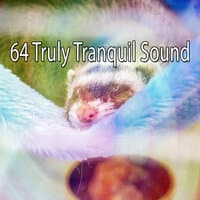 64 Truly Tranquil Sound