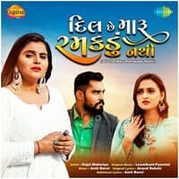 Dil Che Maru Ramakadu Nathi - Single