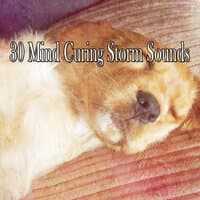 30 Mind Curing Storm Sounds