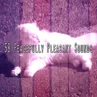 58 Peacefully Pleasant Sounds