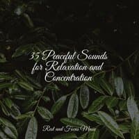 35 Peaceful Sounds for Relaxation and Concentration