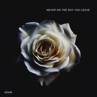 Never On The Day You Leave