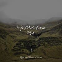 Soft Melodies to Rest