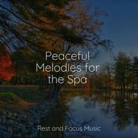 Peaceful Melodies for the Spa