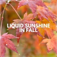 Liquid Sunshine in Fall