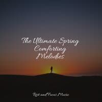 The Ultimate Spring Comforting Melodies