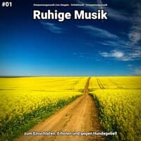 #01 Ruhige Musik zum Einschlafen, Erholen und gegen Hundegebell