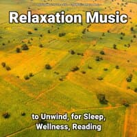 Relaxation Music to Unwind, for Sleep, Wellness, Reading