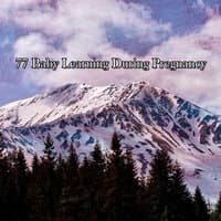 77 Baby Learning During Pregnancy