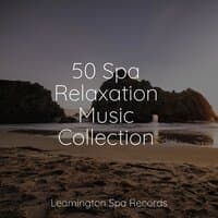 50 Spa Relaxation Music Collection