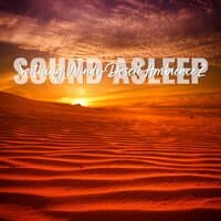 Sound Asleep: Soothing Windy Desert Ambience 2