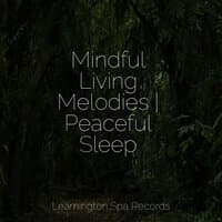 Mindful Living Melodies | Peaceful Sleep