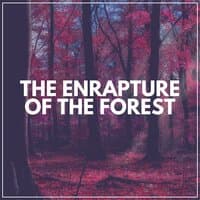 The Enrapture of the Forest