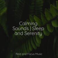 Calming Sounds | Sleep and Serenity