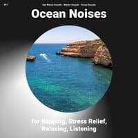 #01 Ocean Noises for Napping, Stress Relief, Relaxing, Listening