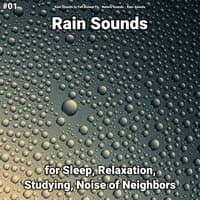 #01 Rain Sounds for Sleep, Relaxation, Studying, Noise of Neighbors