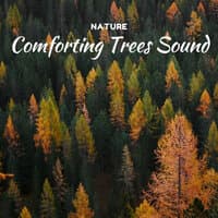 Nature: Comforting Trees Sound