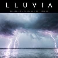 Lluvia: Relajación Profunda De Tejidos