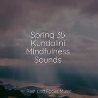 Spring 35 Kundalini Mindfulness Sounds