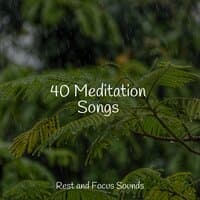 40 Meditation Songs