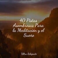 40 Pistas Asombrosas Para la Meditación y el Sueño