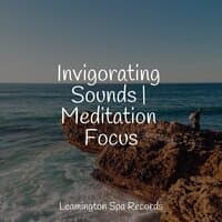 Invigorating Sounds | Meditation Focus