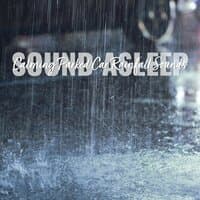 Sound Asleep: Calming Parked Car Rainfall Sounds