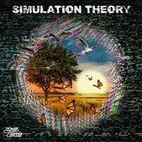 Simulation Theory