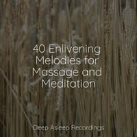 40 Enlivening Melodies for Massage and Meditation