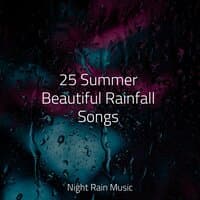 25 Summer Beautiful Rainfall Songs