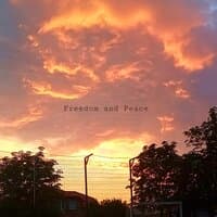 Freedom and Peace