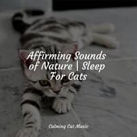 Affirming Sounds of Nature | Sleep For Cats