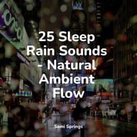 25 Sleep Rain Sounds - Natural Ambient Flow