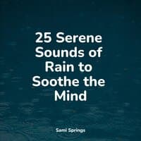 25 Serene Sounds of Rain to Soothe the Mind