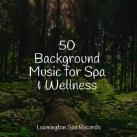 50 Background Music for Spa & Wellness