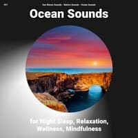 #01 Ocean Sounds for Night Sleep, Relaxation, Wellness, Mindfulness