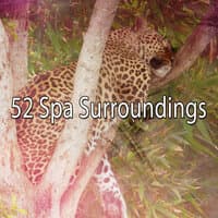 52 Spa Surroundings