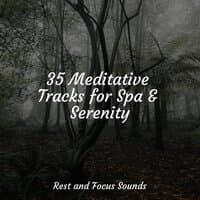 35 Meditative Tracks for Spa & Serenity